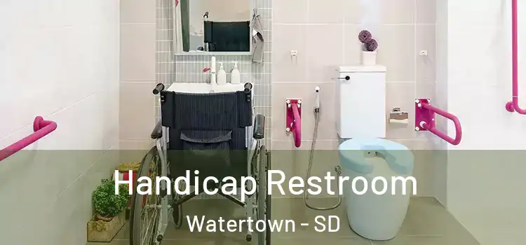  Handicap Restroom Watertown - SD
